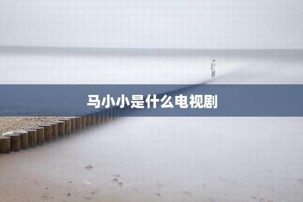 马小小是什么电视剧