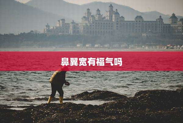 鼻翼宽有福气吗