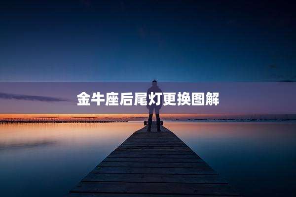 金牛座后尾灯更换图解