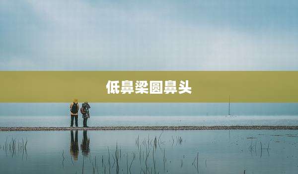 低鼻梁圆鼻头