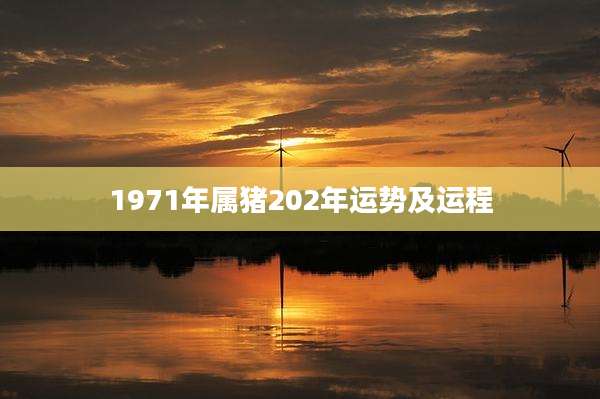 1971年属猪202年运势及运程