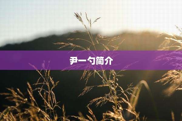 尹一勺简介