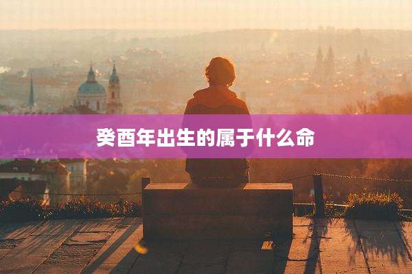 癸酉年出生的属于什么命