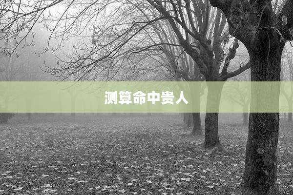 测算命中贵人