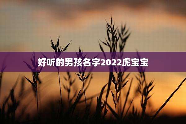 好听的男孩名字2022虎宝宝