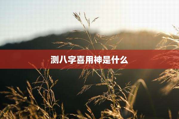 测八字喜用神是什么
