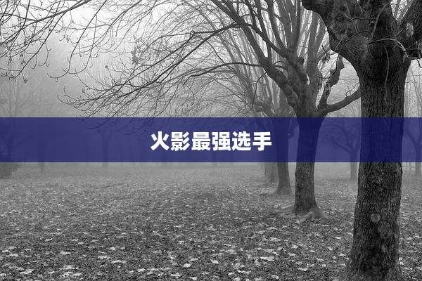 火影最强选手