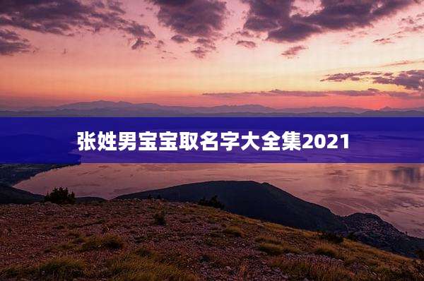 张姓男宝宝取名字大全集2021