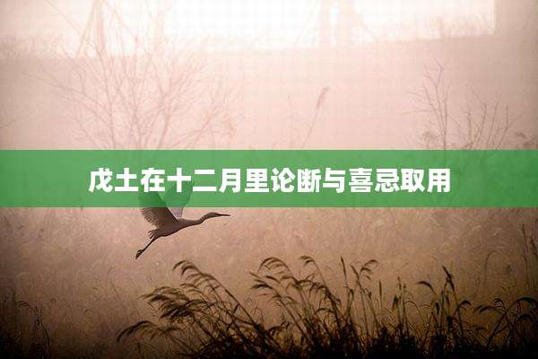 戊土在十二月里论断与喜忌取用