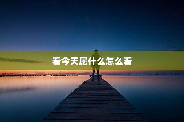 看今天属什么怎么看