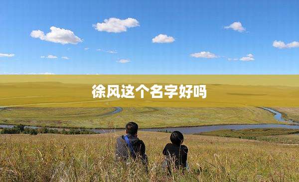 徐风这个名字好吗