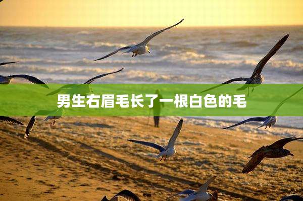 男生右眉毛长了一根白色的毛