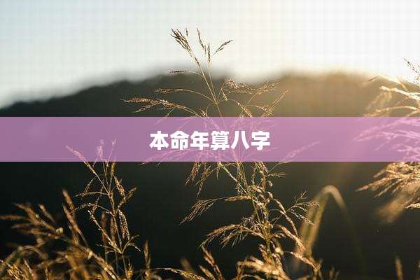 本命年算八字