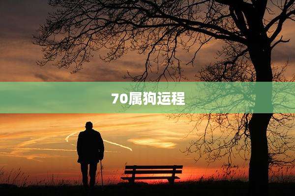 70属狗运程
