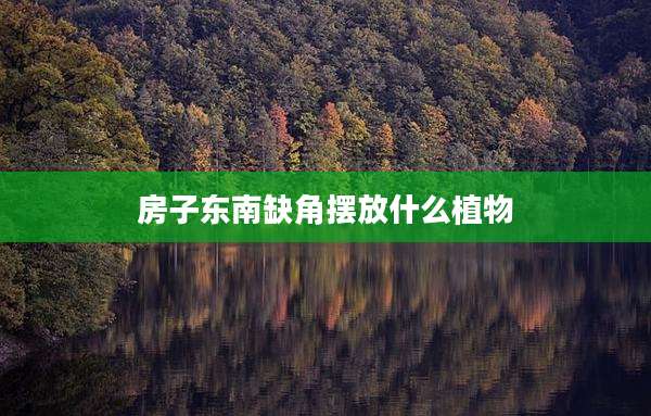 房子东南缺角摆放什么植物