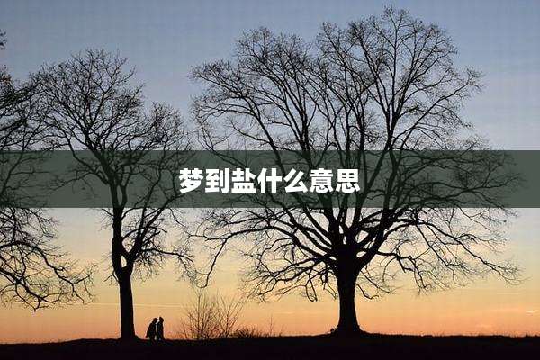 梦到盐什么意思