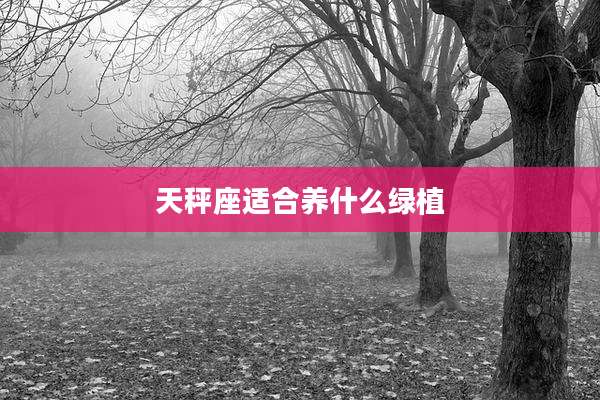 天秤座适合养什么绿植