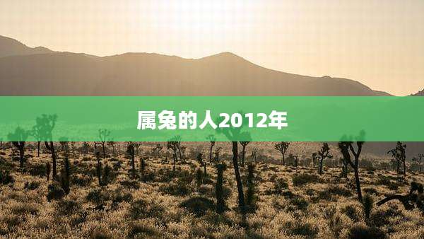 属兔的人2012年