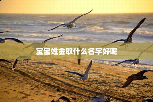 宝宝姓金取什么名字好呢