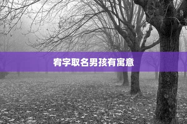 宥字取名男孩有寓意