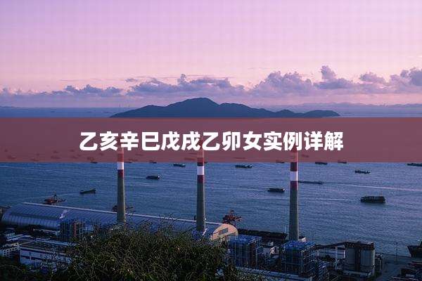 乙亥辛巳戊戌乙卯女实例详解