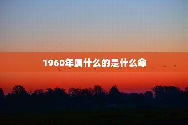 1960年属什么的是什么命