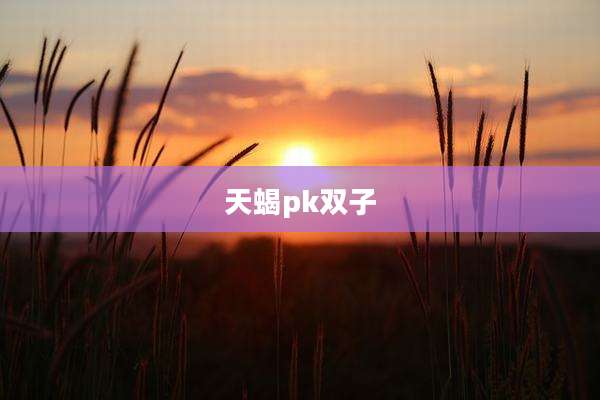 天蝎pk双子