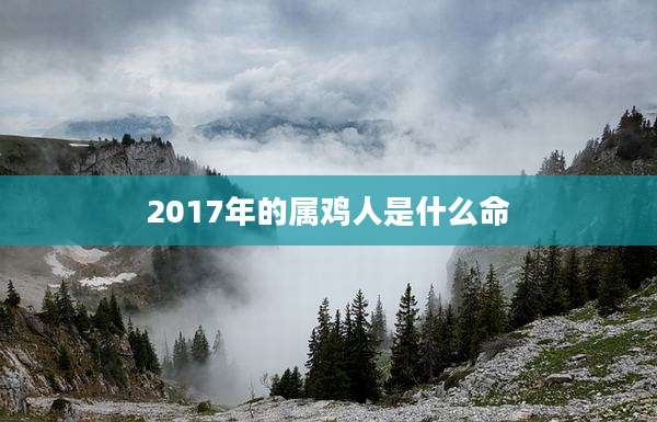 2017年的属鸡人是什么命