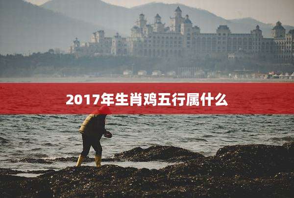 2017年生肖鸡五行属什么