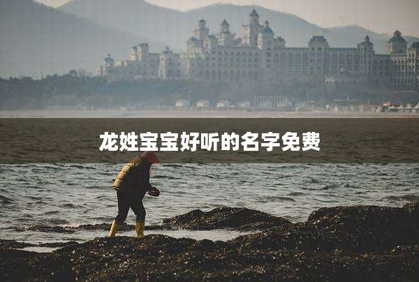 龙姓宝宝好听的名字免费