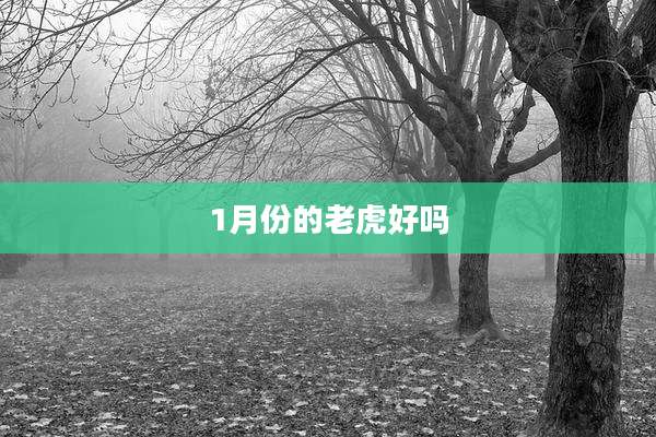 1月份的老虎好吗