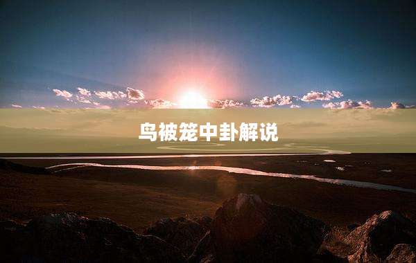 鸟被笼中卦解说