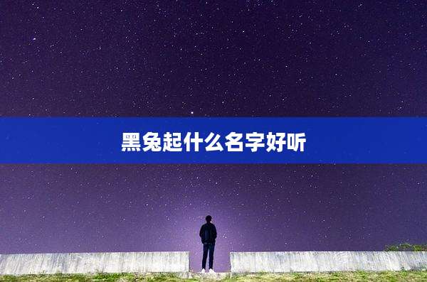 黑兔起什么名字好听