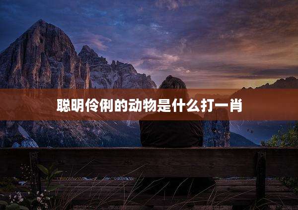 聪明伶俐的动物是什么打一肖