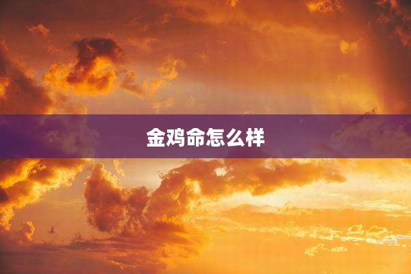 金鸡命怎么样