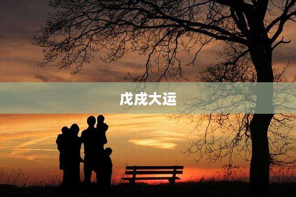 戊戍大运