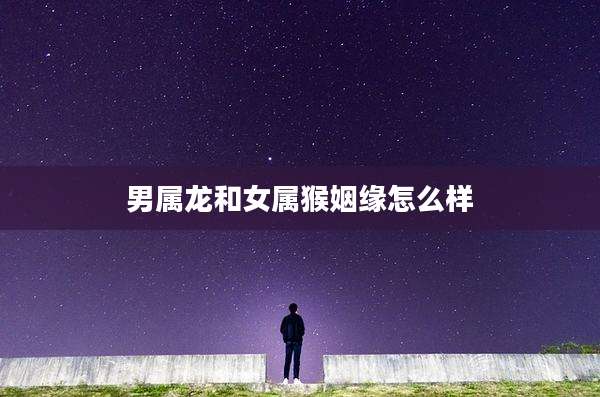 男属龙和女属猴姻缘怎么样