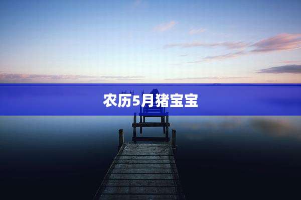 农历5月猪宝宝