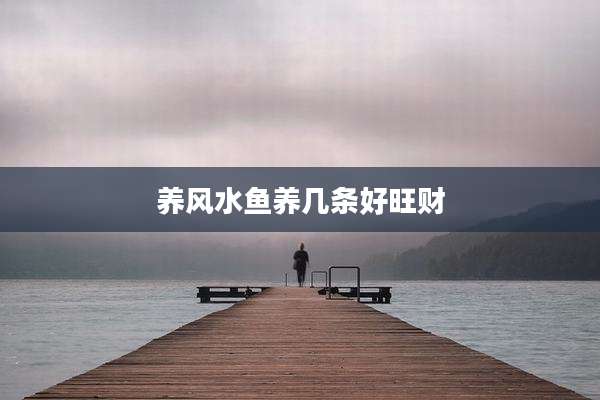 养风水鱼养几条好旺财