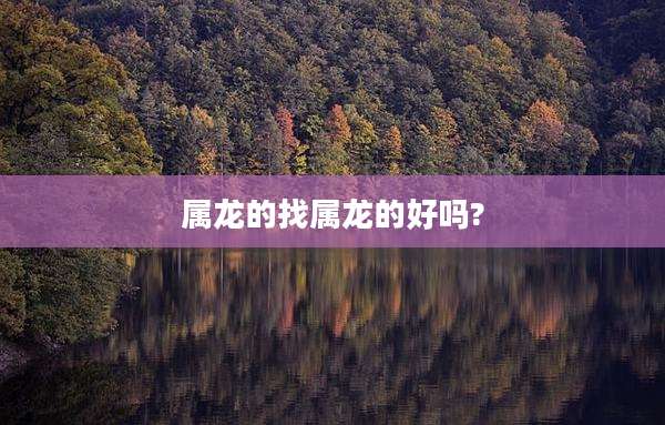 属龙的找属龙的好吗?