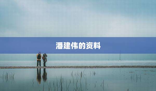 潘建伟的资料