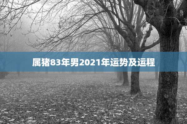 属猪83年男2021年运势及运程