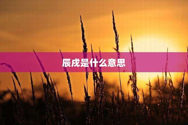 辰戌是什么意思