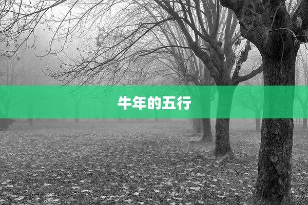 牛年的五行
