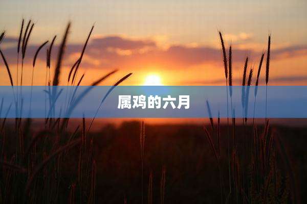 属鸡的六月