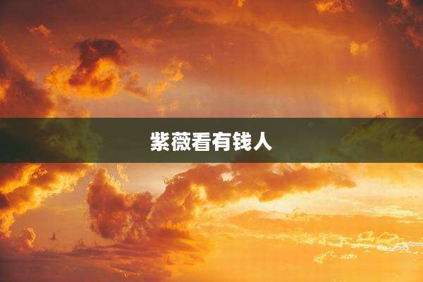 紫薇看有钱人