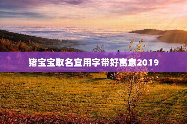 猪宝宝取名宜用字带好寓意2019
