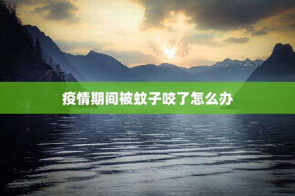 疫情期间被蚊子咬了怎么办