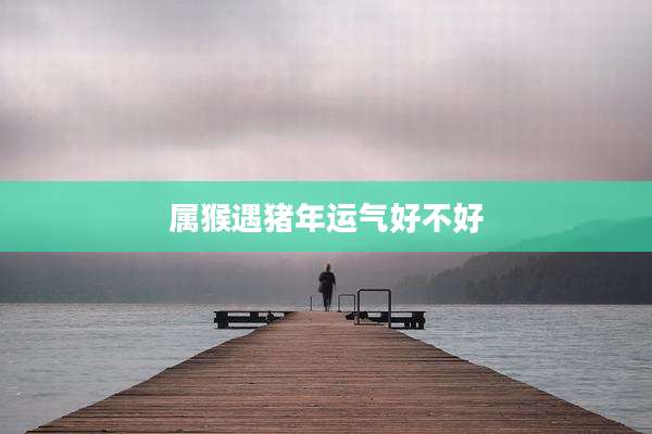 属猴遇猪年运气好不好