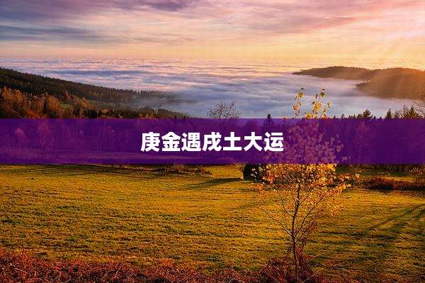 庚金遇戌土大运